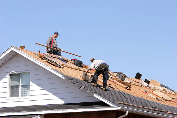 Best Roof Maintenance and Cleaning  in Lambert, MS